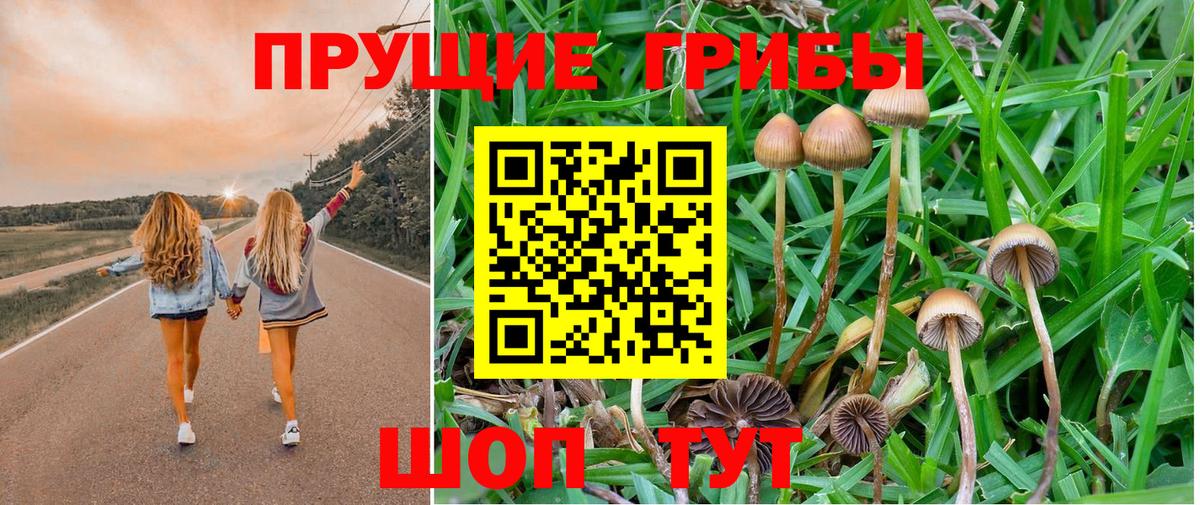 Псилоцибиновые грибы прущие грибы Зеленогорск
